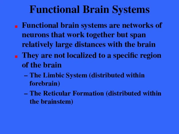 Functional Brain Systems Functional brain systems are networks of neurons that