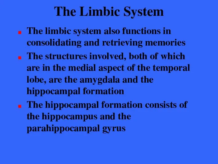 The Limbic System The limbic system also functions in consolidating and