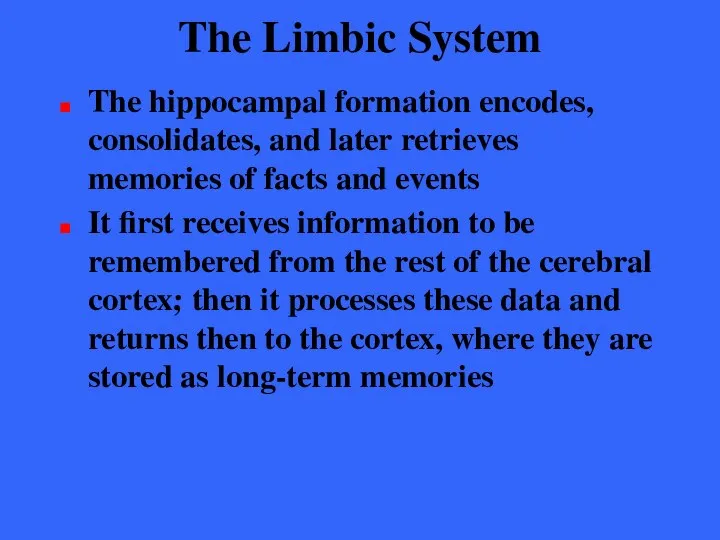 The Limbic System The hippocampal formation encodes, consolidates, and later retrieves