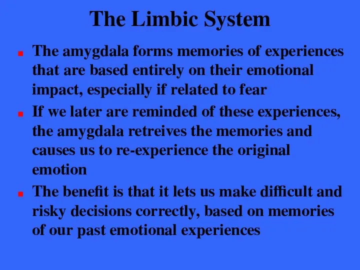 The Limbic System The amygdala forms memories of experiences that are