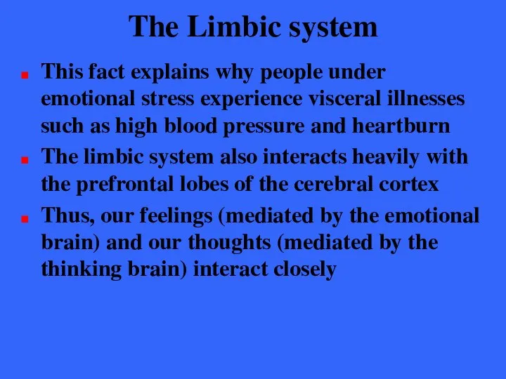 The Limbic system This fact explains why people under emotional stress