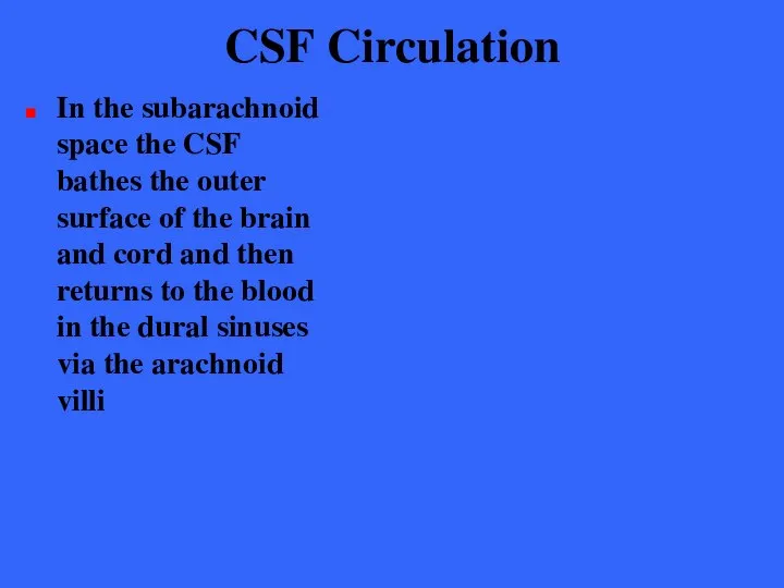 CSF Circulation In the subarachnoid space the CSF bathes the outer