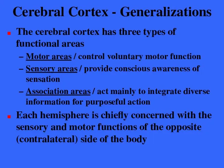 Cerebral Cortex - Generalizations The cerebral cortex has three types of