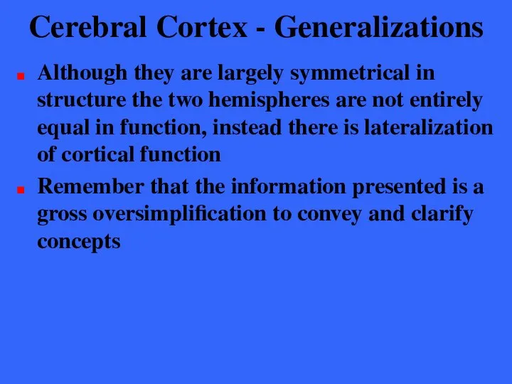 Cerebral Cortex - Generalizations Although they are largely symmetrical in structure