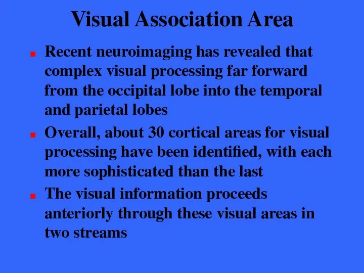 Visual Association Area Recent neuroimaging has revealed that complex visual processing