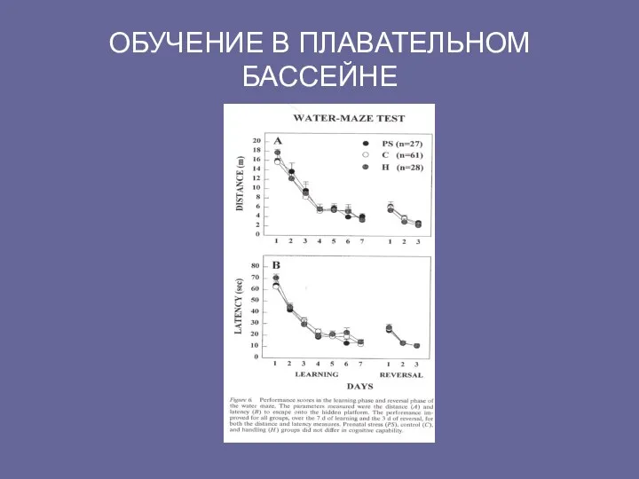 ОБУЧЕНИЕ В ПЛАВАТЕЛЬНОМ БАССЕЙНЕ