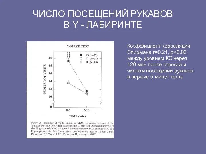 ЧИСЛО ПОСЕЩЕНИЙ РУКАВОВ В Y - ЛАБИРИНТЕ Коэффициент корреляции Спирмана r=0.21,