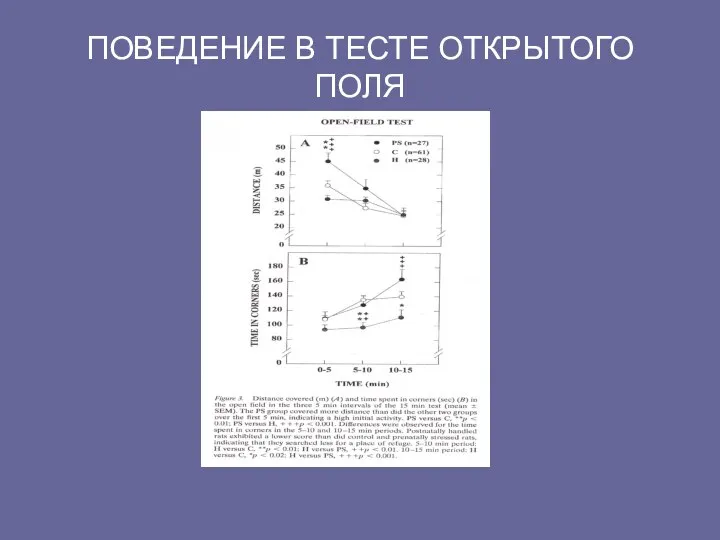 ПОВЕДЕНИЕ В ТЕСТЕ ОТКРЫТОГО ПОЛЯ