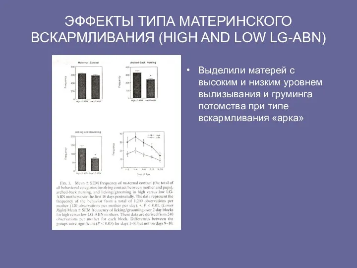 ЭФФЕКТЫ ТИПА МАТЕРИНСКОГО ВСКАРМЛИВАНИЯ (HIGH AND LOW LG-ABN) Выделили матерей с