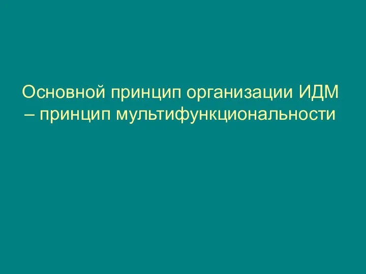 Основной принцип организации ИДМ – принцип мультифункциональности