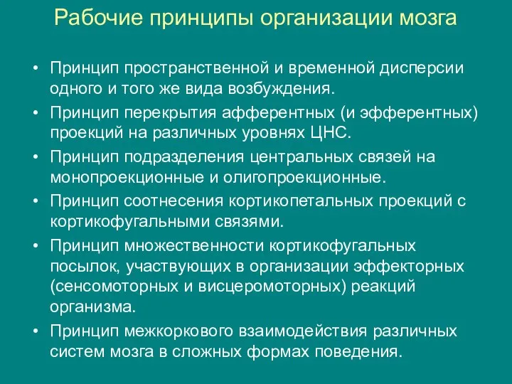 Рабочие принципы организации мозга Принцип пространственной и временной дисперсии одного и