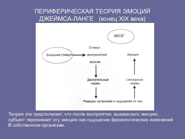 ПЕРИФЕРИЧЕСКАЯ ТЕОРИЯ ЭМОЦИЙ ДЖЕЙМСА-ЛАНГЕ (конец XIX века) Теория эта предполагает, что