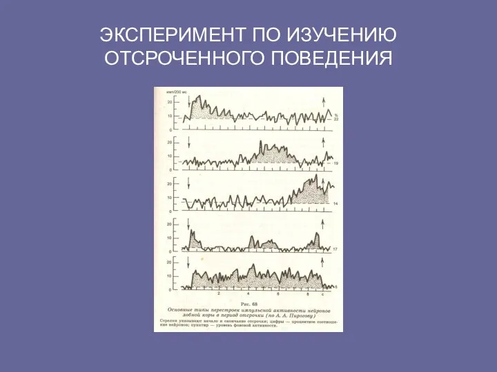 ЭКСПЕРИМЕНТ ПО ИЗУЧЕНИЮ ОТСРОЧЕННОГО ПОВЕДЕНИЯ