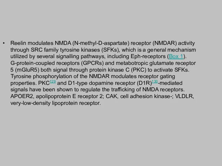 Reelin modulates NMDA (N-methyl-D-aspartate) receptor (NMDAR) activity through SRC family tyrosine