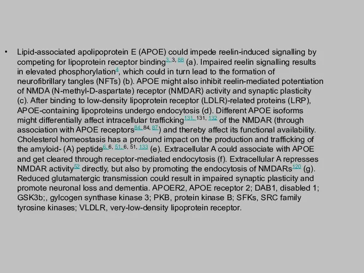 Lipid-associated apolipoprotein E (APOE) could impede reelin-induced signalling by competing for