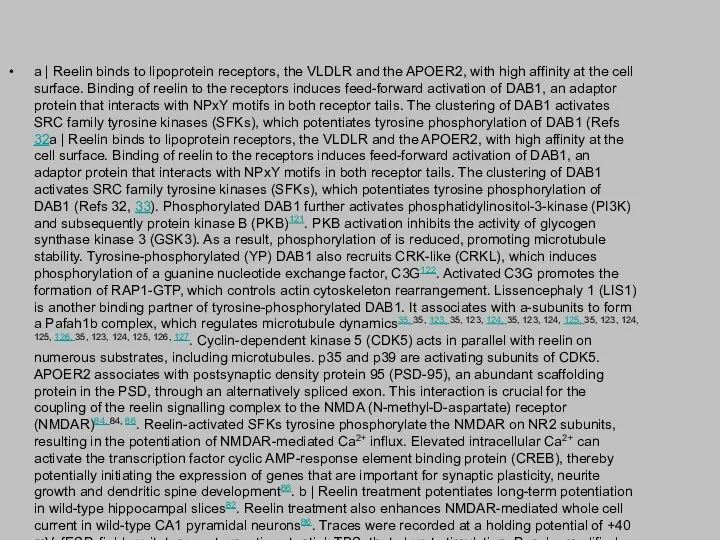 a | Reelin binds to lipoprotein receptors, the VLDLR and the