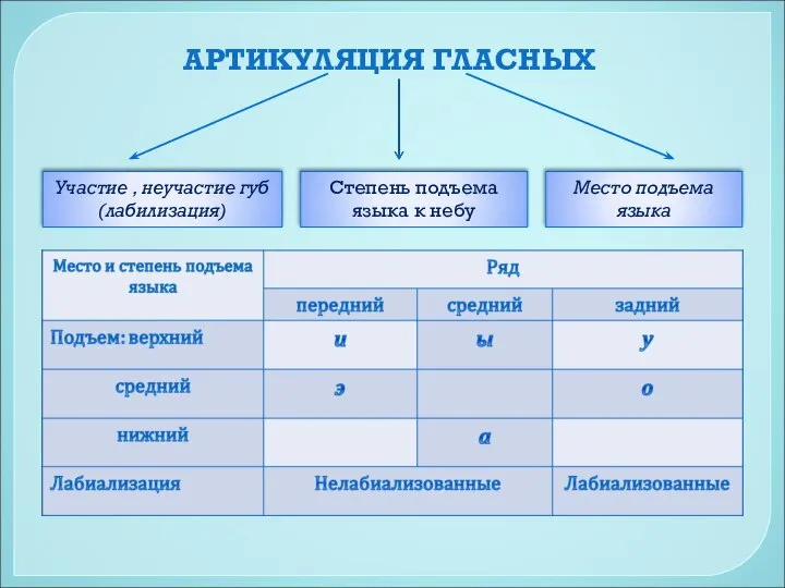 АРТИКУЛЯЦИЯ ГЛАСНЫХ Участие , неучастие губ (лабилизация) Степень подъема языка к небу Место подъема языка