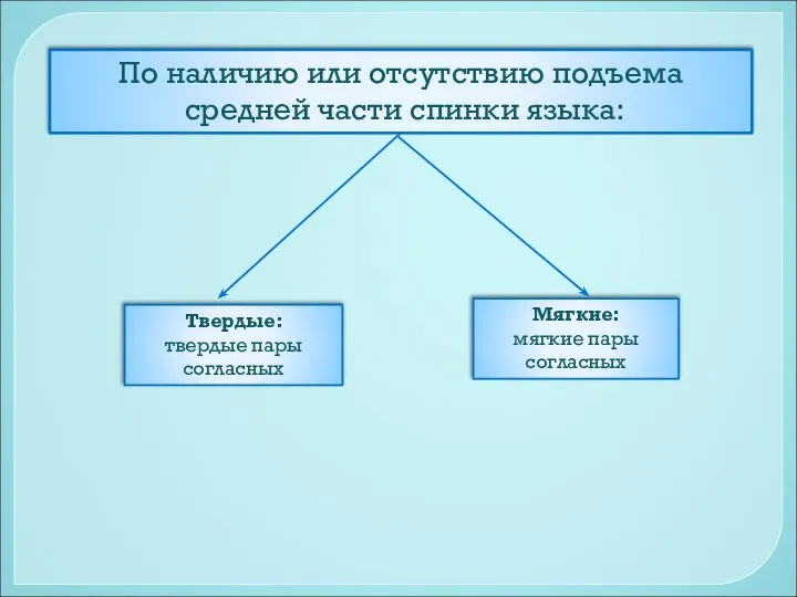 По наличию или отсутствию подъема средней части спинки языка: Твердые: твердые