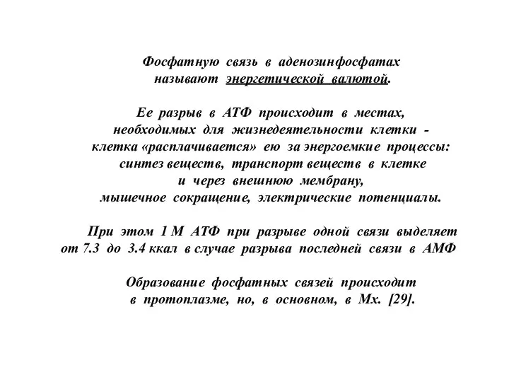 Фосфатную связь в аденозинфосфатах называют энергетической валютой. Ее разрыв в АТФ