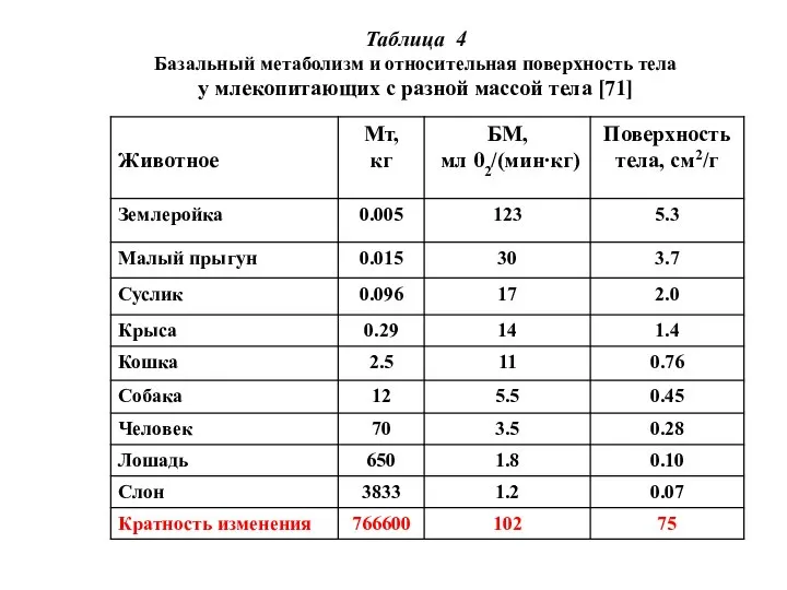 Таблица 4 Базальный метаболизм и относительная поверхность тела у млекопитающих с разной массой тела [71]