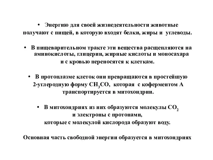 Энергию для своей жизнедеятельности животные получают с пищей, в которую входят