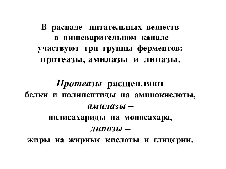 В распаде питательных веществ в пищеварительном канале участвуют три группы ферментов: