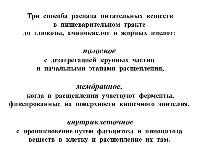 Три способа распада питательных веществ в пищеварительном тракте до глюкозы, аминокислот