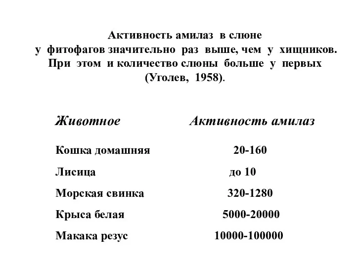 Активность амилаз в слюне у фитофагов значительно раз выше, чем у