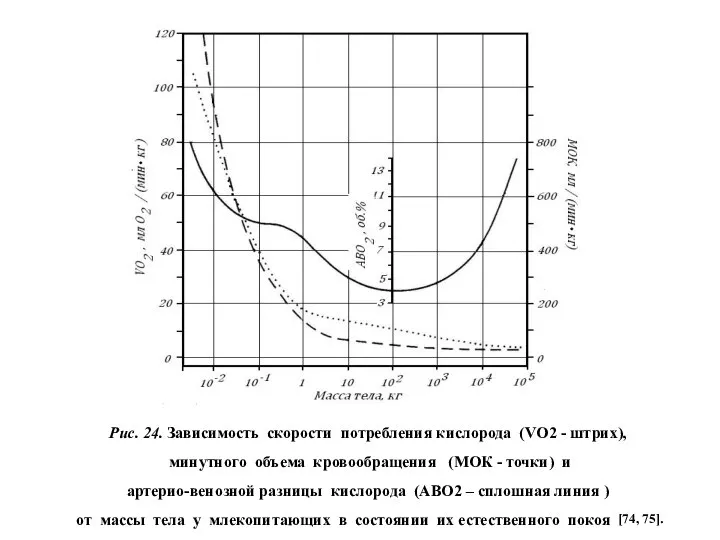 Рис. 24. Зависимость скорости потребления кислорода (VО2 - штрих), минутного объема