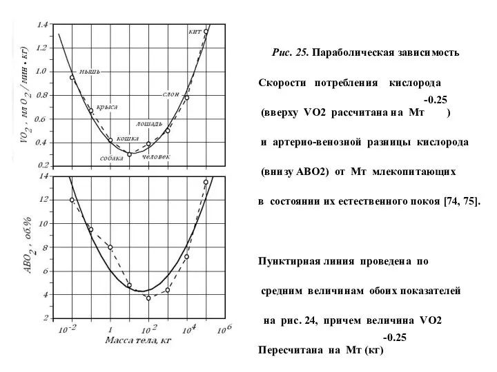 Рис. 25. Параболическая зависимость Скорости потребления кислорода (вверху VО2 рассчитана на
