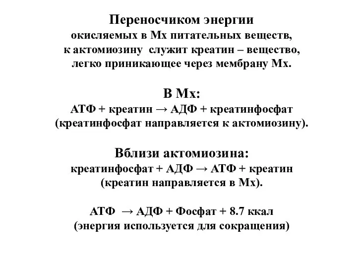 Переносчиком энергии окисляемых в Мх питательных веществ, к актомиозину служит креатин