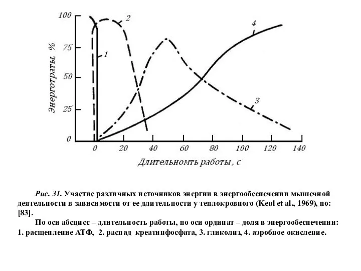 Рис. 31. Участие различных источников энергии в энергообеспечении мышечной деятельности в