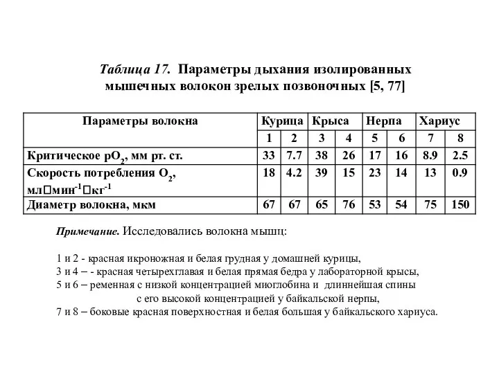 Примечание. Исследовались волокна мышц: 1 и 2 - красная икроножная и