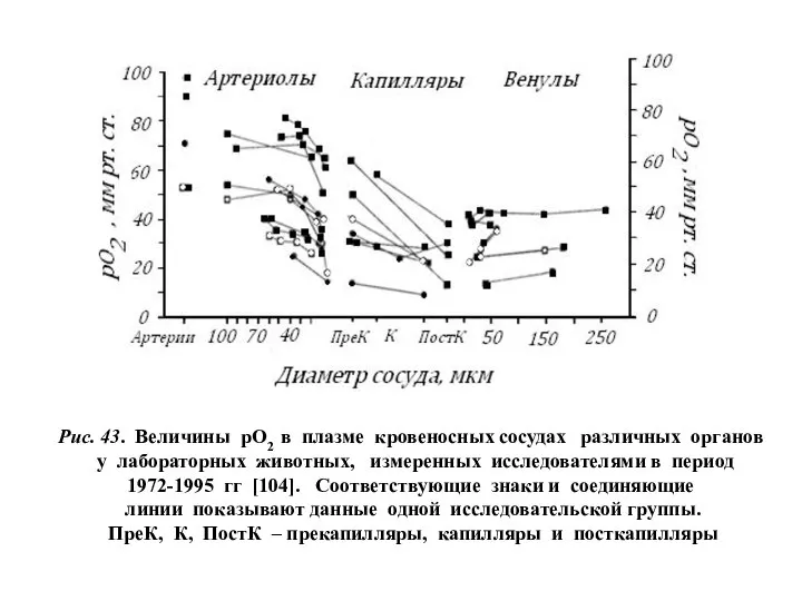 Рис. 43. Величины рО2 в плазме кровеносных сосудах различных органов у