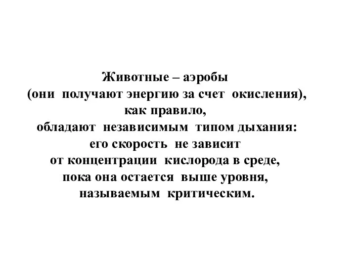 Животные – аэробы (они получают энергию за счет окисления), как правило,