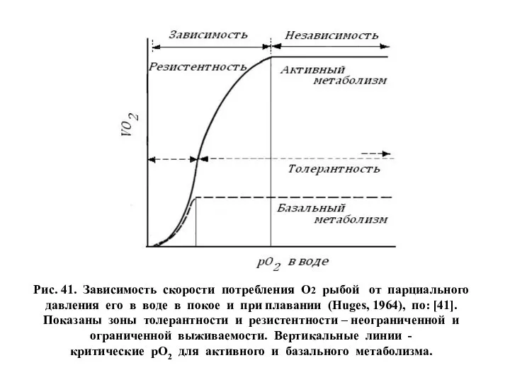 Рис. 41. Зависимость скорости потребления О2 рыбой от парциального давления его