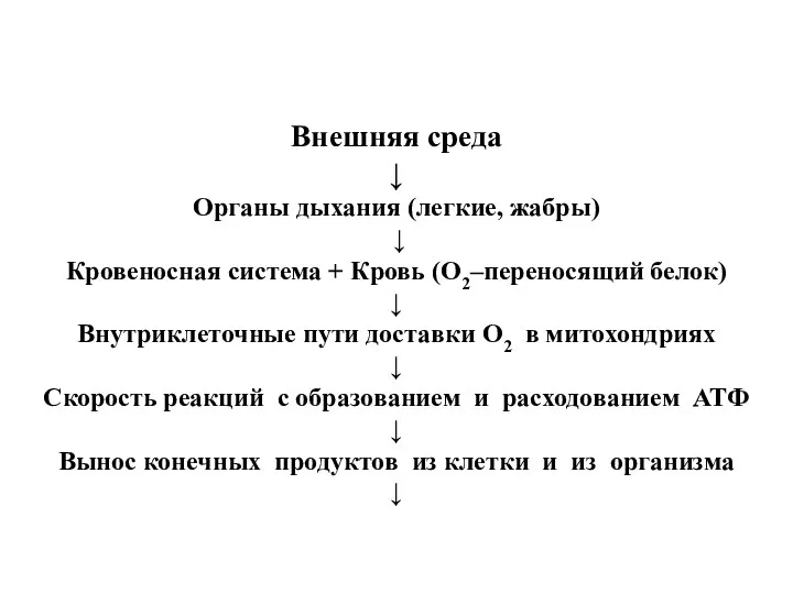 Внешняя среда ↓ Органы дыхания (легкие, жабры) ↓ Кровеносная система +