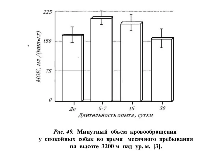 Рис. 49. Минутный объем кровообращения у спокойных собак во время месячного