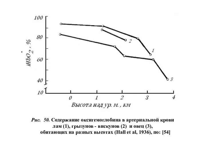 Рис. 50. Содержание оксигемоглобина в артериальной крови лам (1), грызунов -