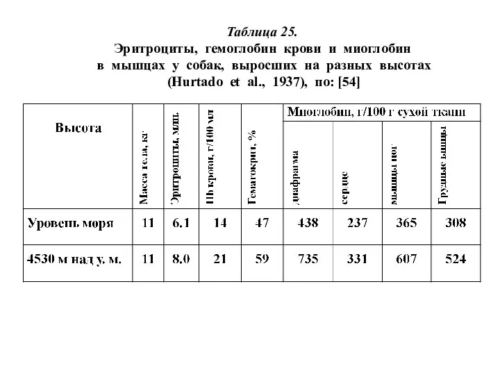 Таблица 25. Эритроциты, гемоглобин крови и миоглобин в мышцах у собак,