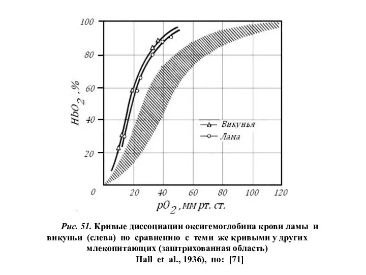 Рис. 51. Кривые диссоциации оксигемоглобина крови ламы и викуньи (слева) по