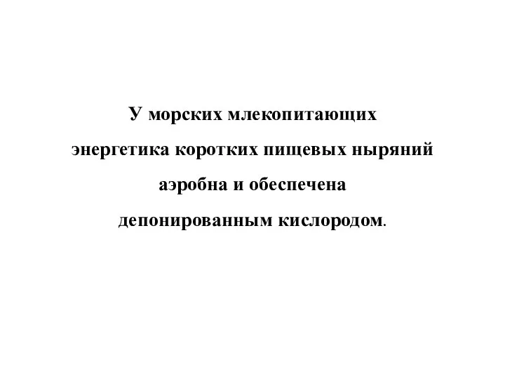 У морских млекопитающих энергетика коротких пищевых ныряний аэробна и обеспечена депонированным кислородом.