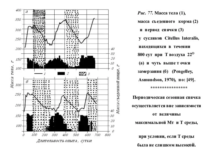 Рис. 77. Масса тела (1), масса съеденного корма (2) и период