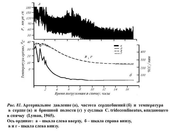 Рис. 81. Артериальное давление (а), частота сердцебиений (б) и температура в