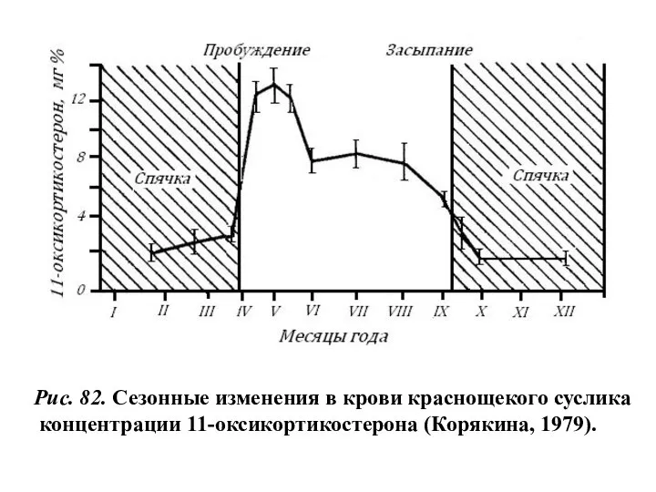 Рис. 82. Сезонные изменения в крови краснощекого суслика концентрации 11-оксикортикостерона (Корякина, 1979).