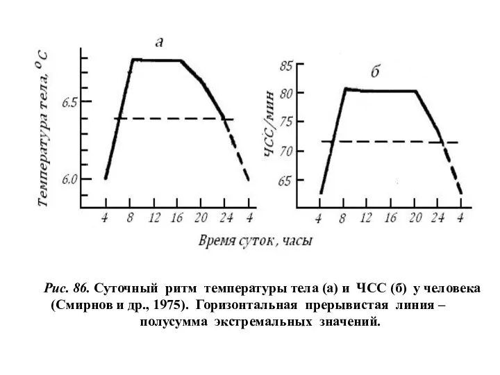 Рис. 86. Суточный ритм температуры тела (а) и ЧСС (б) у