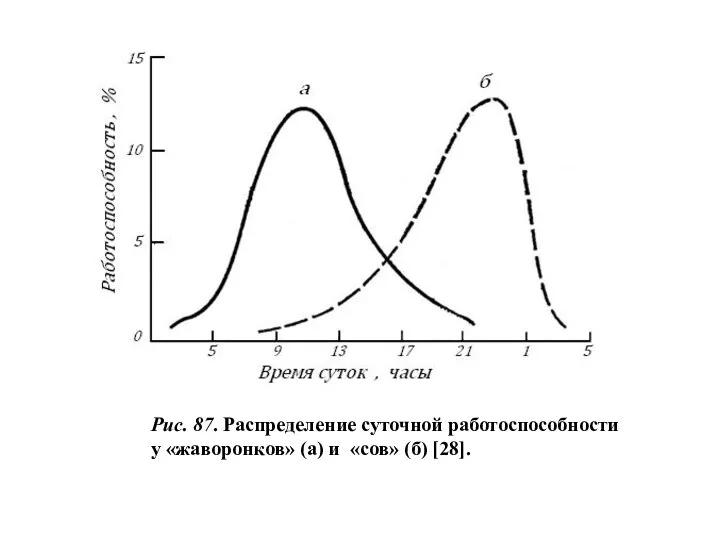 Рис. 87. Распределение суточной работоспособности у «жаворонков» (а) и «сов» (б) [28].