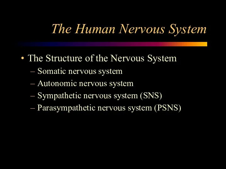 The Human Nervous System The Structure of the Nervous System Somatic