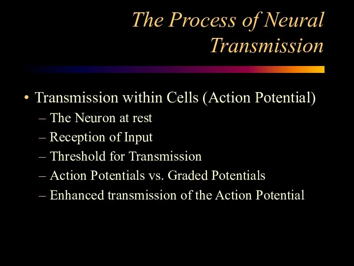 The Process of Neural Transmission Transmission within Cells (Action Potential) The