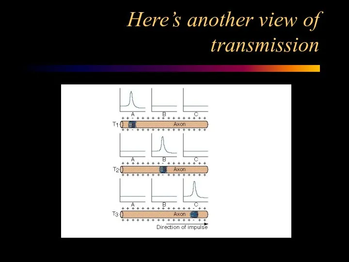 Here’s another view of transmission